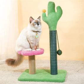 img 4 attached to 🌵 Cute and Functional: MEWOOFUN 25-Inch Tall Cat Cactus Scratching Post with Hanging Ball for Indoor Cats