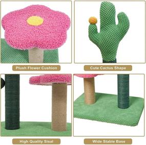 img 1 attached to 🌵 Cute and Functional: MEWOOFUN 25-Inch Tall Cat Cactus Scratching Post with Hanging Ball for Indoor Cats