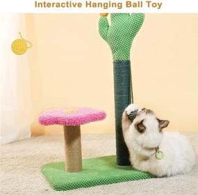 img 3 attached to 🌵 Cute and Functional: MEWOOFUN 25-Inch Tall Cat Cactus Scratching Post with Hanging Ball for Indoor Cats