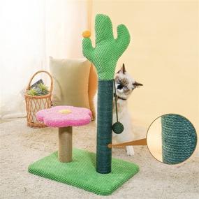 img 2 attached to 🌵 Cute and Functional: MEWOOFUN 25-Inch Tall Cat Cactus Scratching Post with Hanging Ball for Indoor Cats