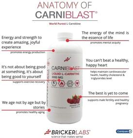 img 1 attached to 💪 CARNIBLAST 3,000mg Liquid L-Carnitine │Enhances Energy Production │Boosts Fat Metabolism│Facilitates Exercise Recovery│Promotes Cardiovascular Health│Top Pre-Workout Supplement
