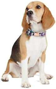 img 3 attached to 🌸 Elevate Your Pooch's Style with a Floral Pattern Dog Collar Bow Tie - Perfect for Female Dogs of All Sizes!