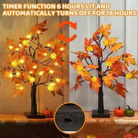 img 1 attached to 🍁 2-Pack 22" Lighted Tabletop Fall Maple Tree - 48 LEDs, Timer, Battery Operated - Lighted Pumpkins, 6 Acorn Fall Thanksgiving Decorations - Artificial Tree for Fireplace, Halloween Decor - Warm White