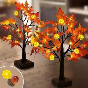 img 4 attached to 🍁 2-Pack 22" Lighted Tabletop Fall Maple Tree - 48 LEDs, Timer, Battery Operated - Lighted Pumpkins, 6 Acorn Fall Thanksgiving Decorations - Artificial Tree for Fireplace, Halloween Decor - Warm White