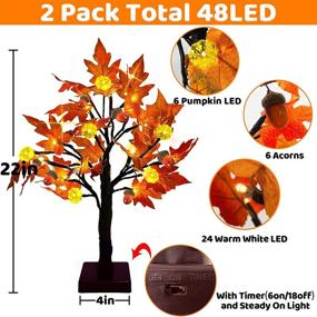 img 3 attached to 🍁 2-Pack 22" Lighted Tabletop Fall Maple Tree - 48 LEDs, Timer, Battery Operated - Lighted Pumpkins, 6 Acorn Fall Thanksgiving Decorations - Artificial Tree for Fireplace, Halloween Decor - Warm White