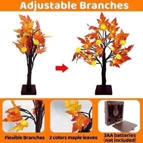 img 2 attached to 🍁 2-Pack 22" Lighted Tabletop Fall Maple Tree - 48 LEDs, Timer, Battery Operated - Lighted Pumpkins, 6 Acorn Fall Thanksgiving Decorations - Artificial Tree for Fireplace, Halloween Decor - Warm White