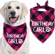 stmk birthday bandana triangle supplies dogs and apparel & accessories logo