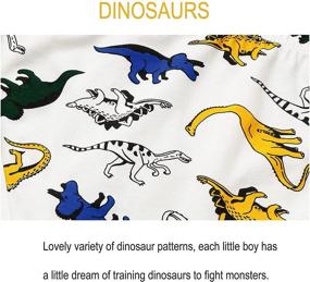 img 2 attached to Детские трусы Dinosaur Toddler QKSFSDF 6-8: Мальчикам, идеальная одежда для комфортного нижнего белья