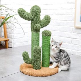 img 2 attached to 🌵 Pawz Road Cactus Cat Scratcher: 3 Poles, Interactive Ball, and More!