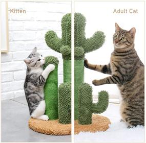 img 1 attached to 🌵 Pawz Road Cactus Cat Scratcher: 3 Poles, Interactive Ball, and More!