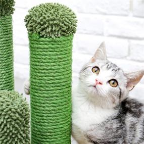 img 3 attached to 🌵 Pawz Road Cactus Cat Scratcher: 3 Poles, Interactive Ball, and More!