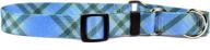 blue martingale control dog collar logo