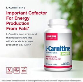 img 2 attached to Jarrow Formulas L Carnitine Supports Cardiovascular
