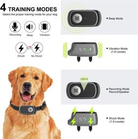 img 2 attached to 🐶 Opibtu Dog Training Collar - 4 Training Modes, Beep, Vibration Shock, Voice Commands | 1000Ft Remote Range, Waterproof | Small Medium Large Dogs | 2020 Newest Design