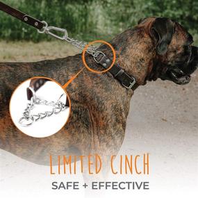 img 3 attached to Mighty Paw Premium Quality Leather Training Collar: Martingale Style with Stainless Steel Chain Cinch