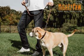 img 1 attached to Mighty Paw Premium Quality Leather Training Collar: Martingale Style with Stainless Steel Chain Cinch