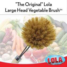 img 1 attached to Lola Products Tampico Vegetable & Dish Brush: Large 3 Inch 🌿 Head, Eco-Friendly Birch Wood, Washable & Reusable, Long Lasting, Easy Head Replacement