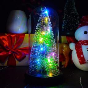 img 3 attached to 🎄 Colorful Artificial Tree in Glass Dome - Ideal Christmas Decorations for Women, Family, Girlfriend