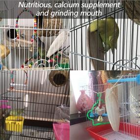 img 3 attached to Tfwadmx Cuttlebone Parakeets Cuttlefish Supplement Birds