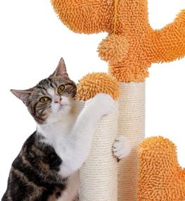 img 1 attached to 🌵 Made4Pets Cactus Cat Scratching Post - Interactive Cat Scratcher with 3 Poles and Dangling Ball for Cats and Kittens