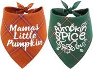 festive thanksgiving dog bandana: perfect fall accessory for dogs of all sizes! логотип