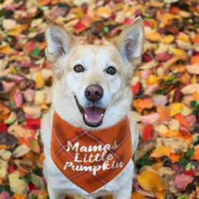 img 3 attached to Festive Thanksgiving Dog Bandana: Perfect Fall Accessory for Dogs of all Sizes!