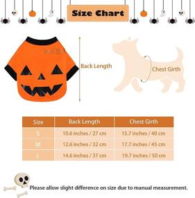 img 3 attached to Pedgot 2-Pack Pet Clothes: Pumpkin Dog T-Shirt | Soft Cotton Funny Pet Costumes | Puppy Supplies