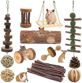 img 4 attached to McFeddy Hamster Chew Toys: 12 Pcs Natural Wooden Cage Accessories for Small Animals - Apple Wood Running Wheel, Tunnel Hideout, Teeth Molars - Ideal for Chinchillas, Guinea Pigs, Rabbits, etc