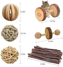 img 2 attached to McFeddy Hamster Chew Toys: 12 Pcs Natural Wooden Cage Accessories for Small Animals - Apple Wood Running Wheel, Tunnel Hideout, Teeth Molars - Ideal for Chinchillas, Guinea Pigs, Rabbits, etc
