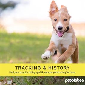 img 1 attached to 🐾 Pebblebee Found LTE GPS Tracker: Long-lasting Battery, Water Resistant, Bluetooth Enabled for All Pets, Alexa Compatible