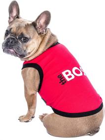 img 3 attached to 👕 Parisian Pet Embroidered T-Shirt: The Boss - Tee Shirts for Dogs and Cats