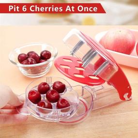 img 1 attached to 🍒 Professional Cherry Pitter Tool - Olive Pitter with Pit and Juice Container, Easily Removes Cherry Stones from 6 Fruits at Once