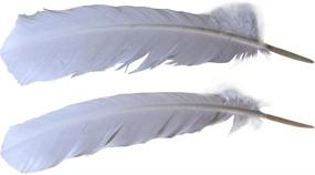 img 1 attached to 🦃 120 Count White Turkey Quill Feathers, 10-12 inches - Everyshine