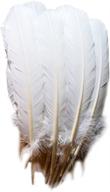 🦃 120 count white turkey quill feathers, 10-12 inches - everyshine logo