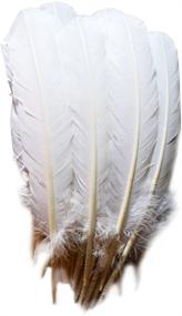 img 2 attached to 🦃 120 Count White Turkey Quill Feathers, 10-12 inches - Everyshine