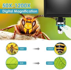 img 2 attached to 🔬 ANNLOV 7" LCD Digital Microscope - High Magnification 1200X with 32GB TF Card, 1080P Video Camera, Remote Control, and LED Lights - Windows/Mac Compatible