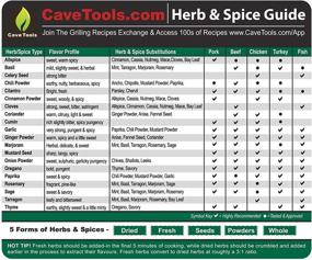 img 4 attached to 🌶️ Spice Rack & Herb Organizer Set - Magnet Kitchen Cooking Conversion Chart with Grilling Rubs & BBQ Seasoning Substitutions - Measuring Spoon Barbecue Accessories Gift Idea by Cave Tools