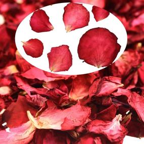 img 3 attached to 100 г настоящих красных лепестков роз: натуральные сушеные цветочные лепестки для ванны, ног, свадебной конфетти, ремесел и аксессуаров - 1 пакет