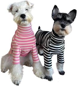 img 4 attached to 👕 KILLUA Dog Shirt: Premium 100% Cotton Long Sleeve Striped Dog Clothes for Autumn and Winter