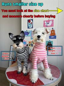 img 1 attached to 👕 KILLUA Dog Shirt: Premium 100% Cotton Long Sleeve Striped Dog Clothes for Autumn and Winter