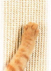 img 2 attached to 🐾 Pioneer Pet Ultimate Scratching Post by SmartCat: Your Perfect Solution for Feline Needs
