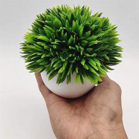 img 4 attached to 🌿 Fycooler Artificial Boxwood Topiary Shrubs Grass in Pot - Faux Fresh Green Grass for Home Décor, Office Desk Decoration and Room Enhancement