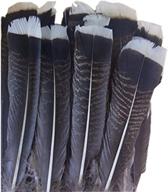 🦃 wholesale pack of 10 natural turkey feathers, 10-14 inches / 25-35 cm, ideal for diy jewelry and decor logo