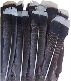 img 1 attached to 🦃 Wholesale Pack of 10 Natural Turkey Feathers, 10-14 Inches / 25-35 cm, Ideal for DIY Jewelry and Decor