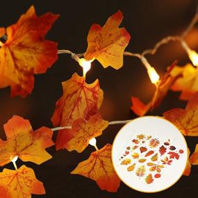 img 4 attached to GPODER 2 Pack Fall Maple Leaf String Light: Remote Control Timer, Thanksgiving Decorations Set, 20 LED 8.2 FT Fall Garland Light for Holiday, Gift Party Autumn Decor (Amber Yellow)