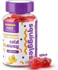 img 4 attached to 🍬 SQUIGGLES Kids Cold Fighting Gummies: Elderberry, Bee Propolis & Echinacea, 100 Count