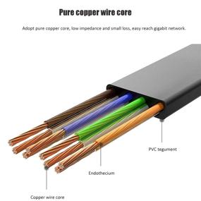 img 2 attached to 🔌 DAYEDZ Кабель Ethernet Cat 6 50 фт - тонкий плоский LAN кабель с клипсами и разъемами RJ45 для маршрутизатора - быстрее, чем Cat5e/Cat5 - черного цвета (50 футов)