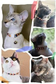 img 3 attached to 🐾 WAAAG Pet Supplies - Stylish Aztec Tribal Collars, Leashes, and Harnesses for Cats and Dogs