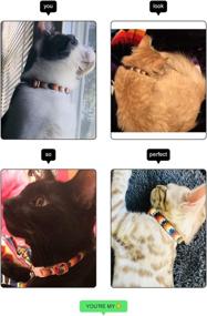 img 2 attached to 🐾 WAAAG Pet Supplies - Stylish Aztec Tribal Collars, Leashes, and Harnesses for Cats and Dogs