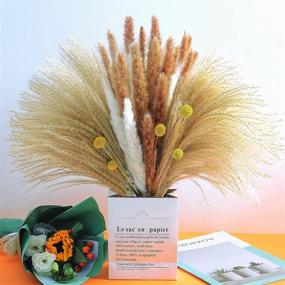 img 4 attached to 🌾 Glicrili 65 Pieces of Dried Pampas Grass Decor - 15 White Pampas, 15 Brown Pampas, 30 Reed Grass, and 5 Billy Balls - Natural Dried Bouquet for Home Decor, Boho Wedding, Party, and Photographs.